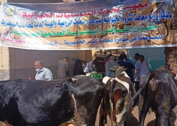 قافلة بيطرية مجانية