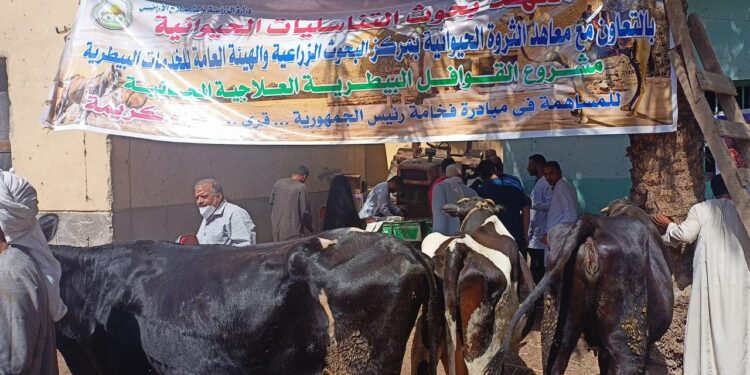 قافلة بيطرية مجانية