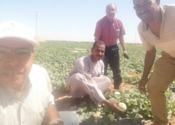 الادارة المركزية للبساتين