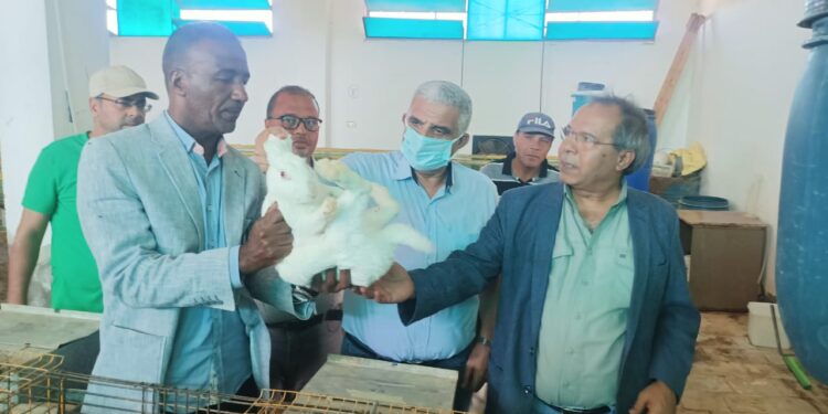 تعاون جديد بين "بحوث الصحراء و"أكساد" لتطوير مشروعات التحسين الوراثي للأغنام 1 أكساد