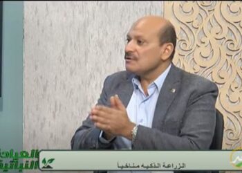 «الزراعة الذكية مناخيا».. أستاذ بالقومي للبحوث يوضح أهميتها 9 الزراعة الذكية مناخيا