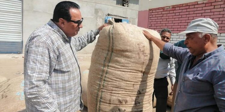 وكيل زراعة دمياط يتفقد حلقات تجميع القطن