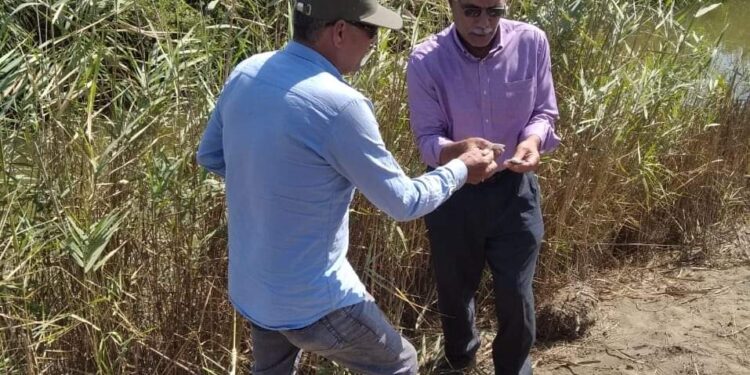 لجنة من الزراعة توصي بـ 5 إجراءات لمكافحة القوارض ببورسعيد 1 لجنة من الزراعة توصي بـ 5 إجراءات لمكافحة القوارض ببورسعيد