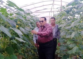 جولة تفقدية لوكيل زراعة دمياط بصوب المجالس الزراعية