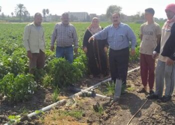 جولات توعوية بأهمية التحول للري الحديث بالشرقية