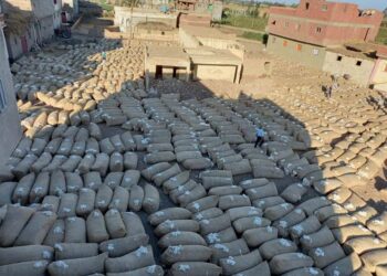 سعر قنطار القطن جيزة 94