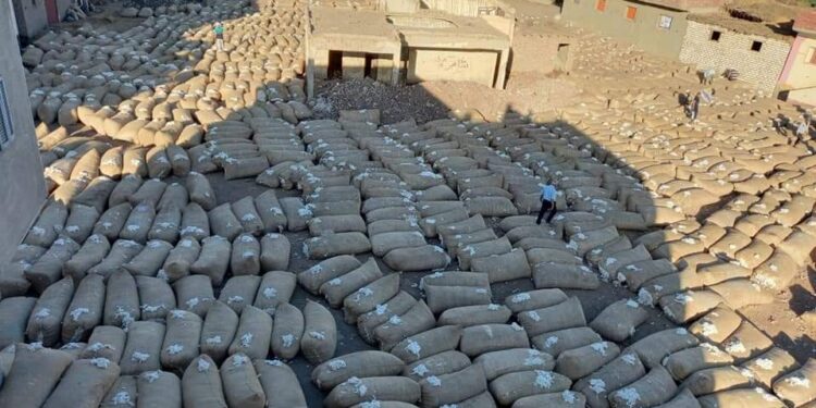 سعر قنطار القطن يسجل6400 جنيه في مزاد 25 أكتوبر بكفر الشيخ 1 سعر قنطار القطن جيزة 94
