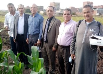 تعاون بين الزراعة والفاو ل مكافحة دودة الحشد الخريفية