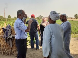 خلال تفقد الحقل الإرشادي لبنجر السكر