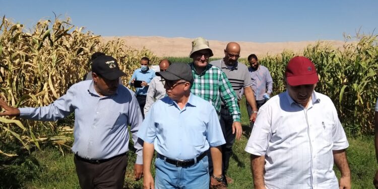 الزراعة تتابع تحديث الري ومكافحة دودة الحشد ورفع كفاءة الأصول بالأقصر وقنا 1 الزراعة تتابع تحديث الري ومكافحة دودة الحشد ورفع كفاءة الأصول بالأقصر وقنا