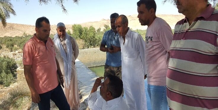 الزراعة: "بحوث الصحراء" يسهم فى دمج أبناء سيناء في التنمية الزراعية المستدامة 1 بحوث الصحراء يسهم فى دمج أبناء سيناء في التنمية الزراعية المستدامة