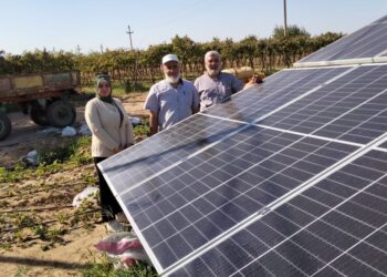 زراعة الشرقية تدعم مزارعي الفراولة وبنجر السكر