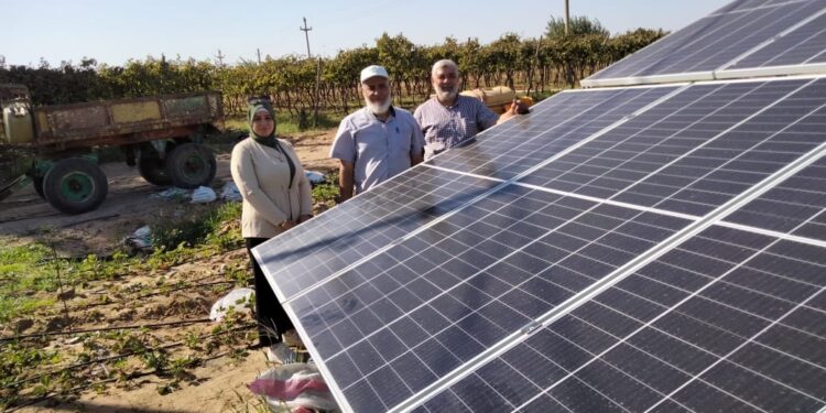 جولات ميدانية لـ"زراعة الشرقية" لدعم مزارعي الفراولة وبنجر السكر 1 زراعة الشرقية تدعم مزارعي الفراولة وبنجر السكر