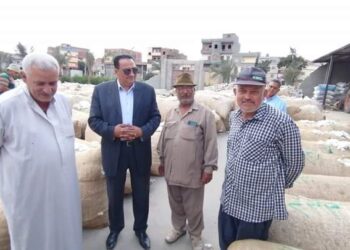 سعر القنطار٥١٢٠ جنيه.. «عبدالسميع» يشارك المزارعين فرحتهم بصرف أثمان القطن