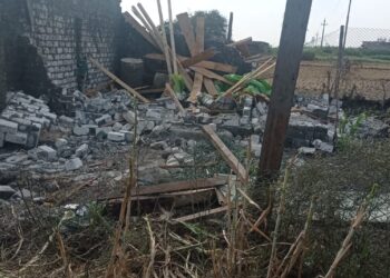 لتقصيرهم في مواجهة التعديات.. «القصير» يستبعد عدد من المسئولين بزراعة الدقهلية