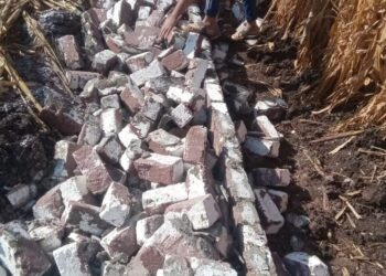 حملات ليلية لـ إزالة التعديات على الأراضي الزراعية بالفيوم