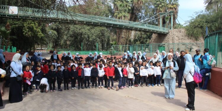 حديقة الحيوان بالجيزة تستقبل رحلات المدارس والزائرين للاستمتاع بالتطوير 1 حديقة الحيوان بالجيزة تستقبل رحلات المدارس والزائرين للاستمتاع بالتطوير