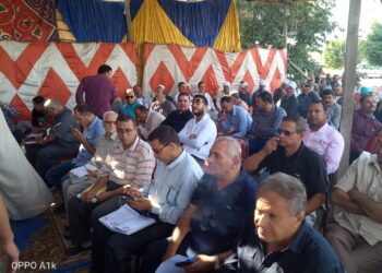 قنطار قطن جيزة ٩٤ يسجل 5645 جنيه بالشرقية