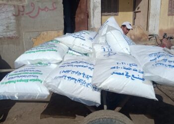 الزراعة تخطر المديريات بتعليمات صرف أسمدة الموسم الشتوي