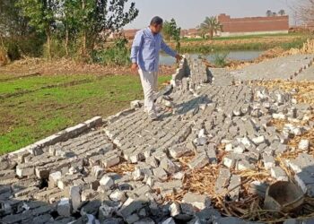 التعديات على الأراضي الزراعية