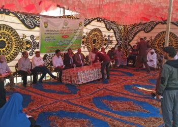 «بحوث الصحراء» ينظم يوم حقلي في شمال سيناء لإستعراض أصناف محاصيل الأعلاف