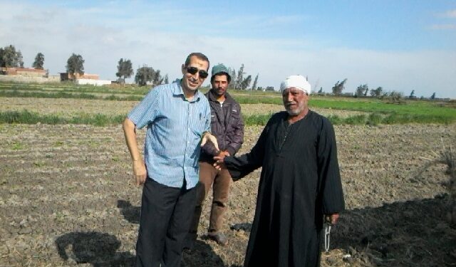 «تويج» يتفقد زراعات بنجر السكر والبرسيم والفول بجنوب بورسعيد