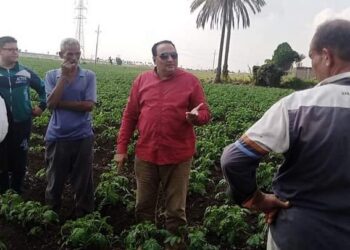 وكيل زراعة دمياط يتابع الزراعات الشتوية وتفقد مراكز تجميع الألبان