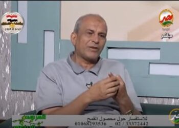 زراعة القمح