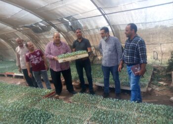 زراعات الصوب