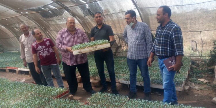 زراعات الصوب