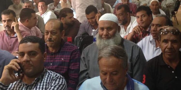 افتتاح مزاد كفر الشيخ بـ٥٦٤٠ لقنطار قطن جيزة ٩٤ 1 قنطار قطن