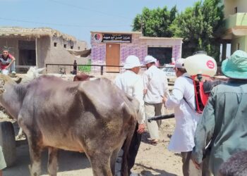 القوافل العلاجية