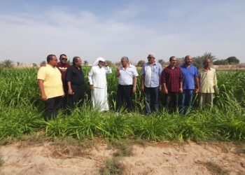الزراعة تختتم فعاليات زيارة"اكساد" و "مركز بحوث الصحراء" لمحافظة جنوب سيناء