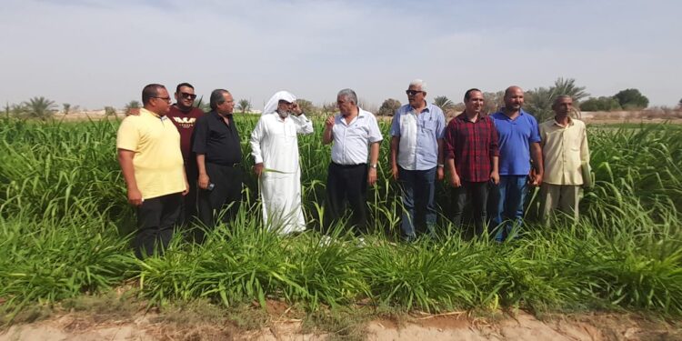 الزراعة تختتم فعاليات زيارة"اكساد" و "مركز بحوث الصحراء" لمحافظة جنوب سيناء 1 الزراعة تختتم فعاليات زيارة"اكساد" و "مركز بحوث الصحراء" لمحافظة جنوب سيناء