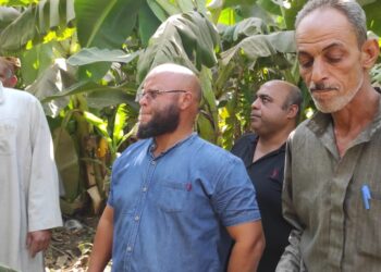 "اسماعيل" يوجه باستخدام الطرق العلمية في مكافحة أمراض الموز