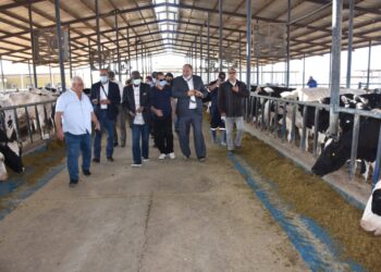 وفد من "الإيفاد"يتفقد المشروعات المشتركة بين مصر والمنظمة الدولية