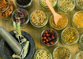 كم يحقق ربح انتاج الفدان من النباتات العطرية “متخصص” يجيب