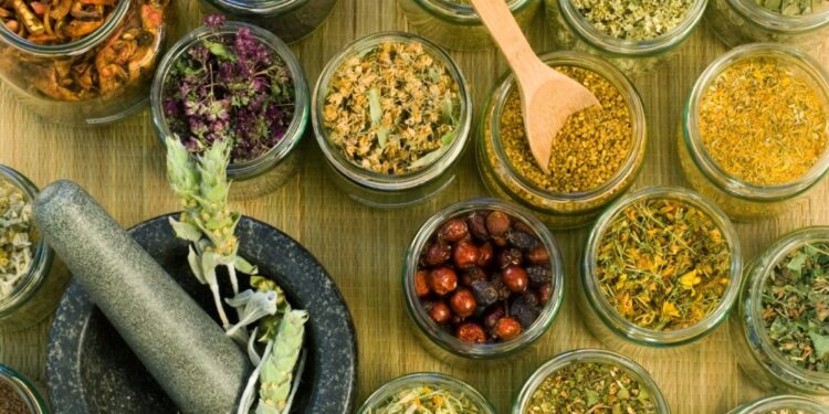كم يحقق ربح انتاج الفدان من النباتات العطرية "متخصص" يجيب 1 كم يحقق ربح انتاج الفدان من النباتات العطرية “متخصص” يجيب