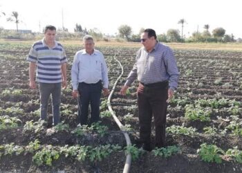 منظومة الري الحديث