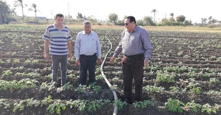 تحديث الري .. وكيل زراعة دمياط يكشف تطوير 6 آلاف فدان 1 منظومة الري الحديث