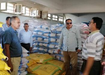 وكيل زراعة دمياط يتابع توافر أسمدة وتقاوي المحاصيل الشتوية