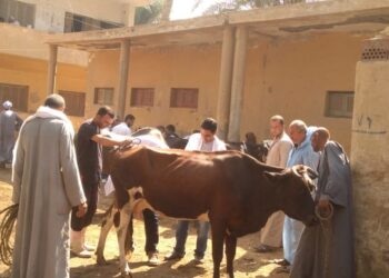 القوافل العلاجية