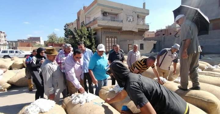 قنطار القطن يُسجل 5120 جنيه بدمياط
