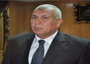 محافظ الوادي الجديد: أدخلنا 20 صنفا من النباتات الطبية للزراعة بالمحافظة