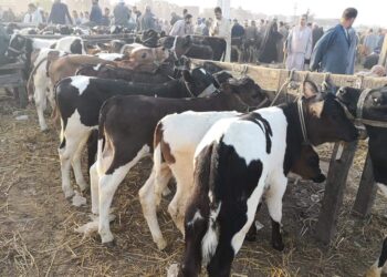 الأمراض الوبائية