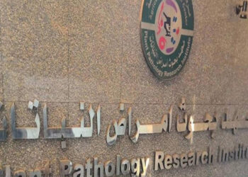 ننشر تقرير أعمال معهد بحوث أمراض النباتات عن شهر سبتمبر2021