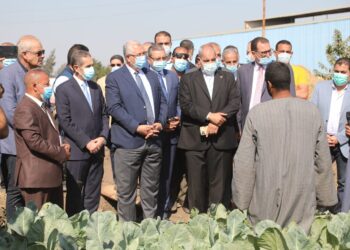 وزير الزراعة ومحافظ الغربية يتفقدان حقل خضر بالري الحديث
