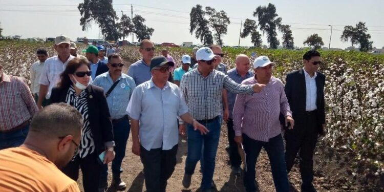 "البحوث الزراعية" ينظم يوم الحقل لمحصولي "الأرز الهجين والقطن" بمحطة بحوث سخا 1 البحوث الزراعية ينظم يوم الحقل لمحصولي "الأرز الهجين والقطن" بمحطة بحوث سخا