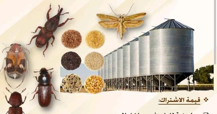 حماية الحبوب والمواد المخزونة
