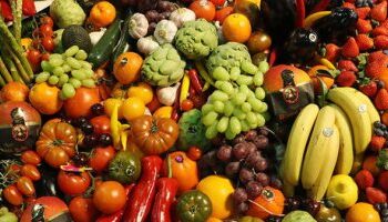 «سميح» يستعرض الطفرة التصديرية في الحاصلات البستانية